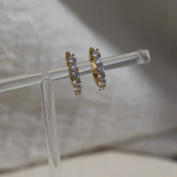 Katie Waltman Elan Hoops