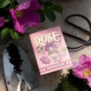 Pink Rose Wildflower Seeds