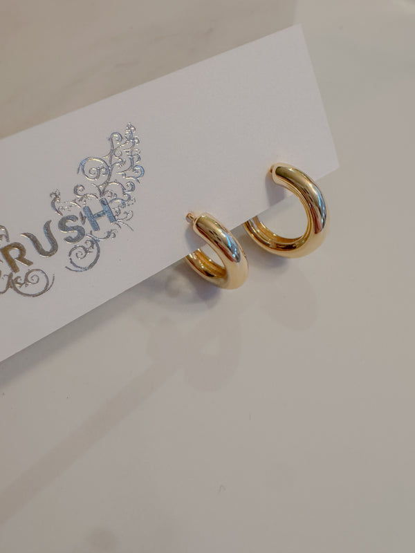 Stanley Thick Small Hoops